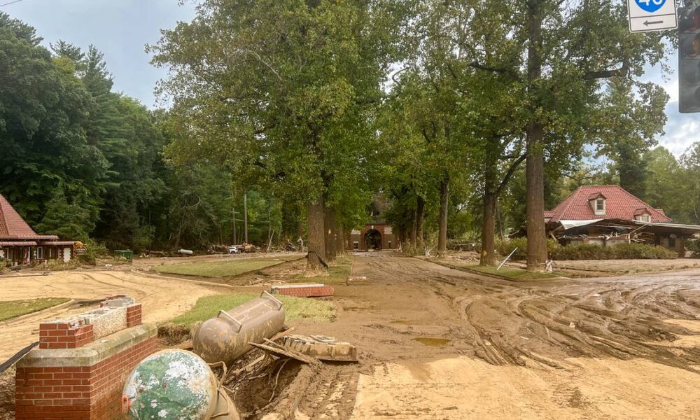 Damage from Helene at the Biltmore entrance in Biltmore Village. Courtesy of The Biltmore Company