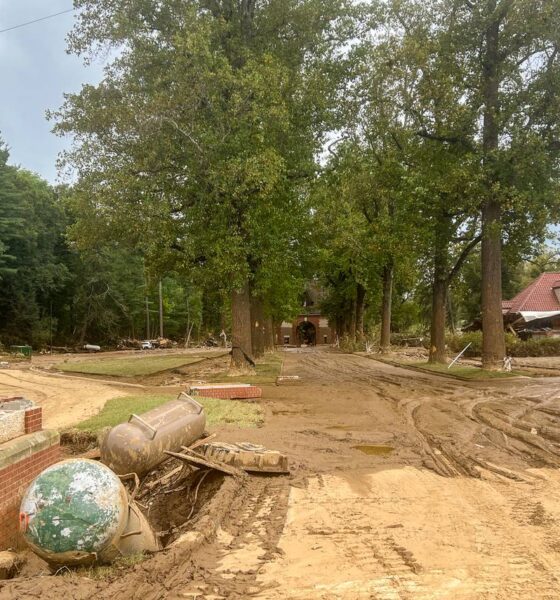 Damage from Helene at the Biltmore entrance in Biltmore Village. Courtesy of The Biltmore Company