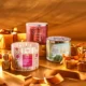 Bath & Body Works Candle Day