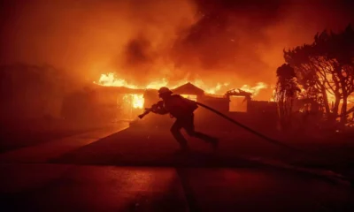 LA Wildfires Destroy Homes of Celebrities and Locals