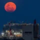 Best Time to See the ‘Blood Worm Moon’ Eclipse in SoCal